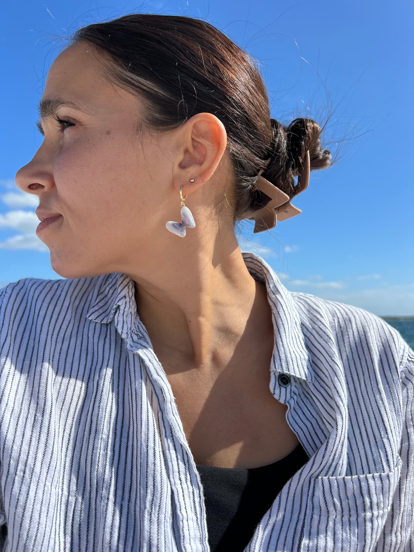 Coquina Shell Earrings