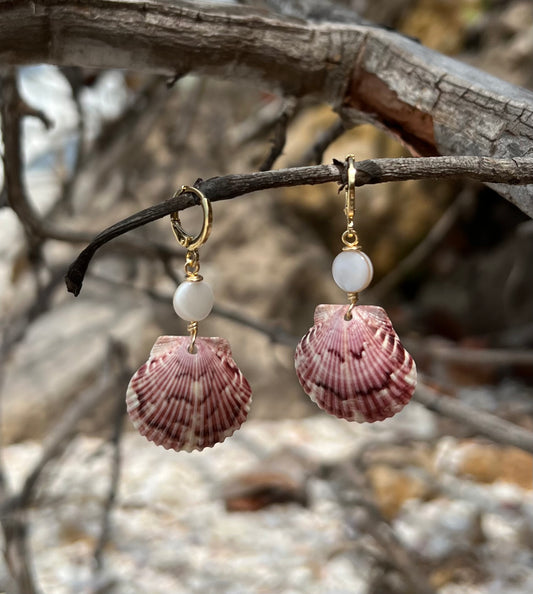 Scallop Shell Earrings