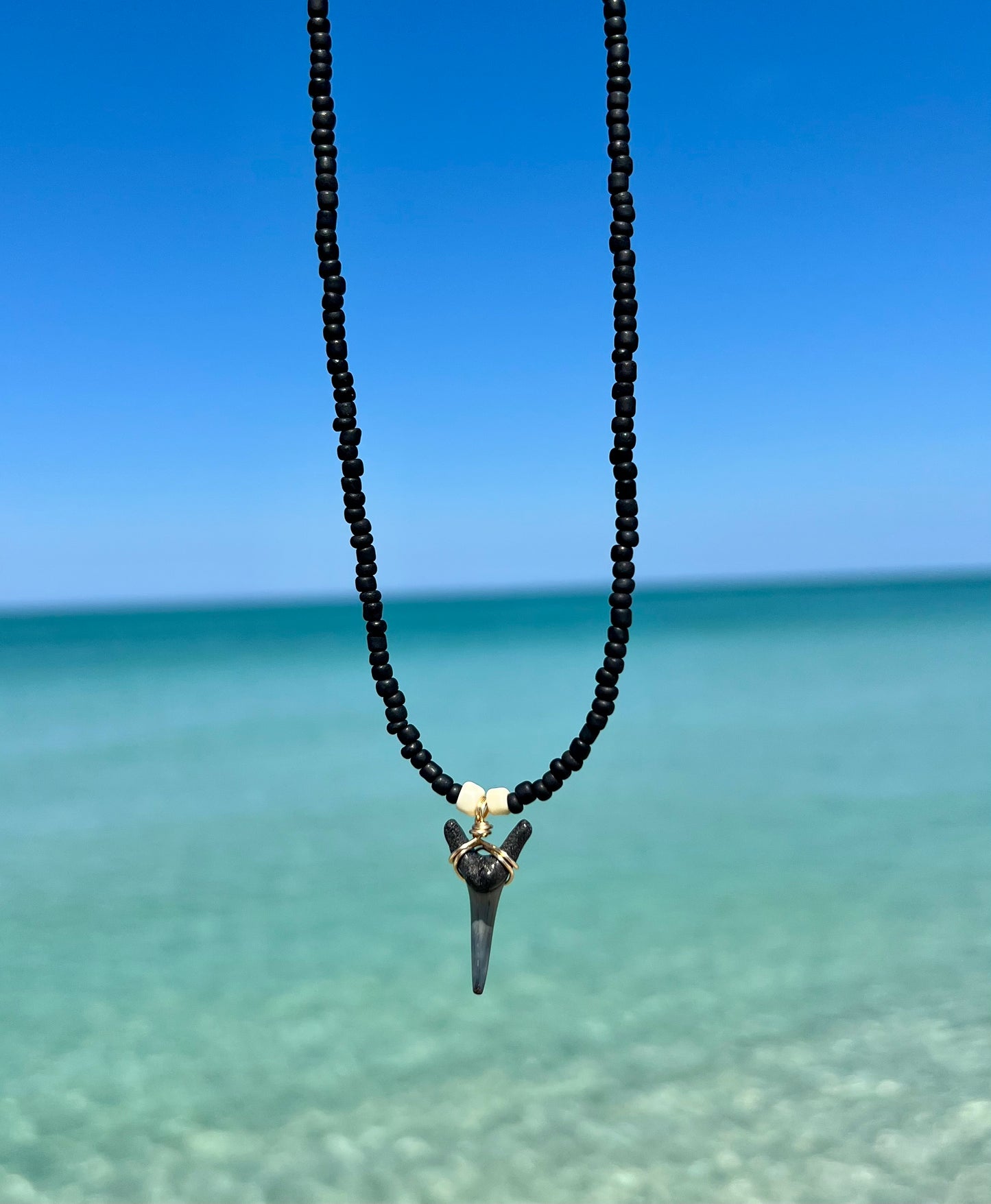 Shark tooth necklace