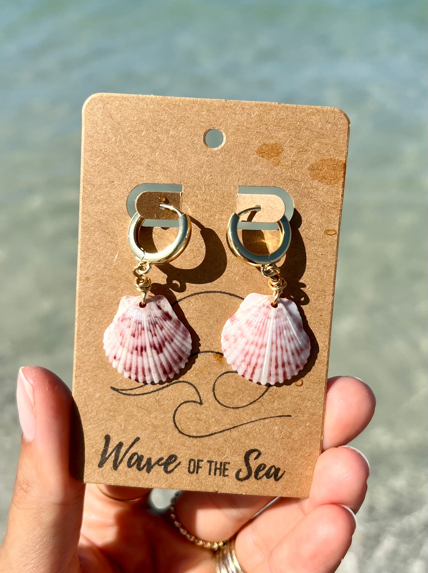 Florida Shell Earrings