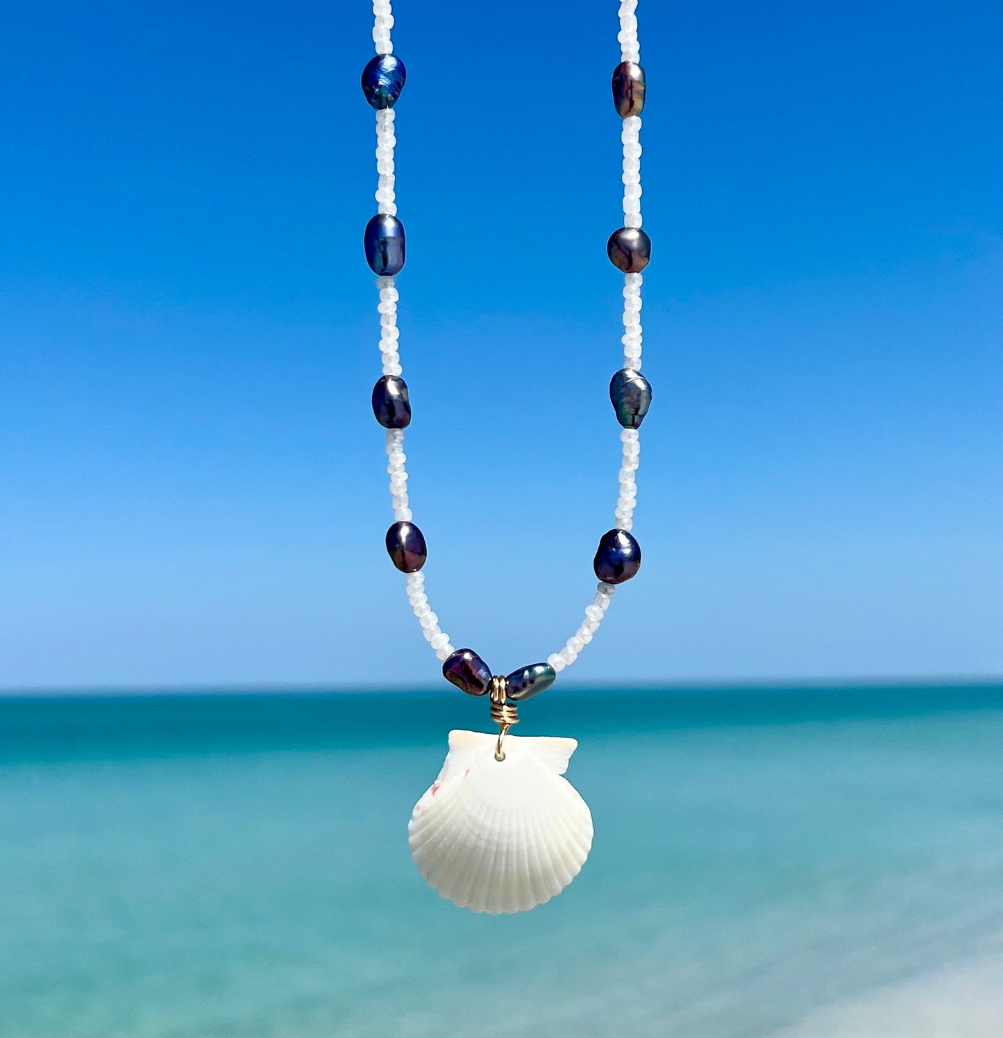 Scallop Shell Necklace