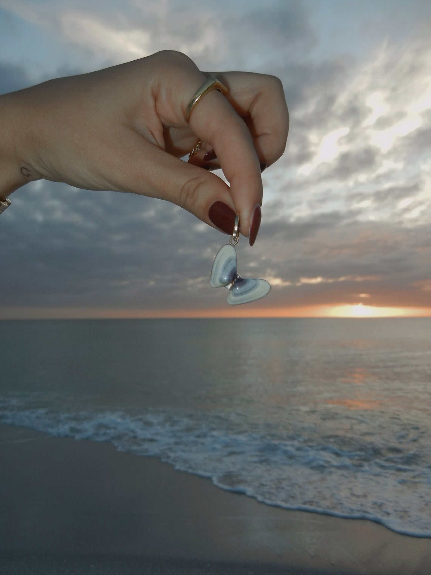 Dainty Coquina