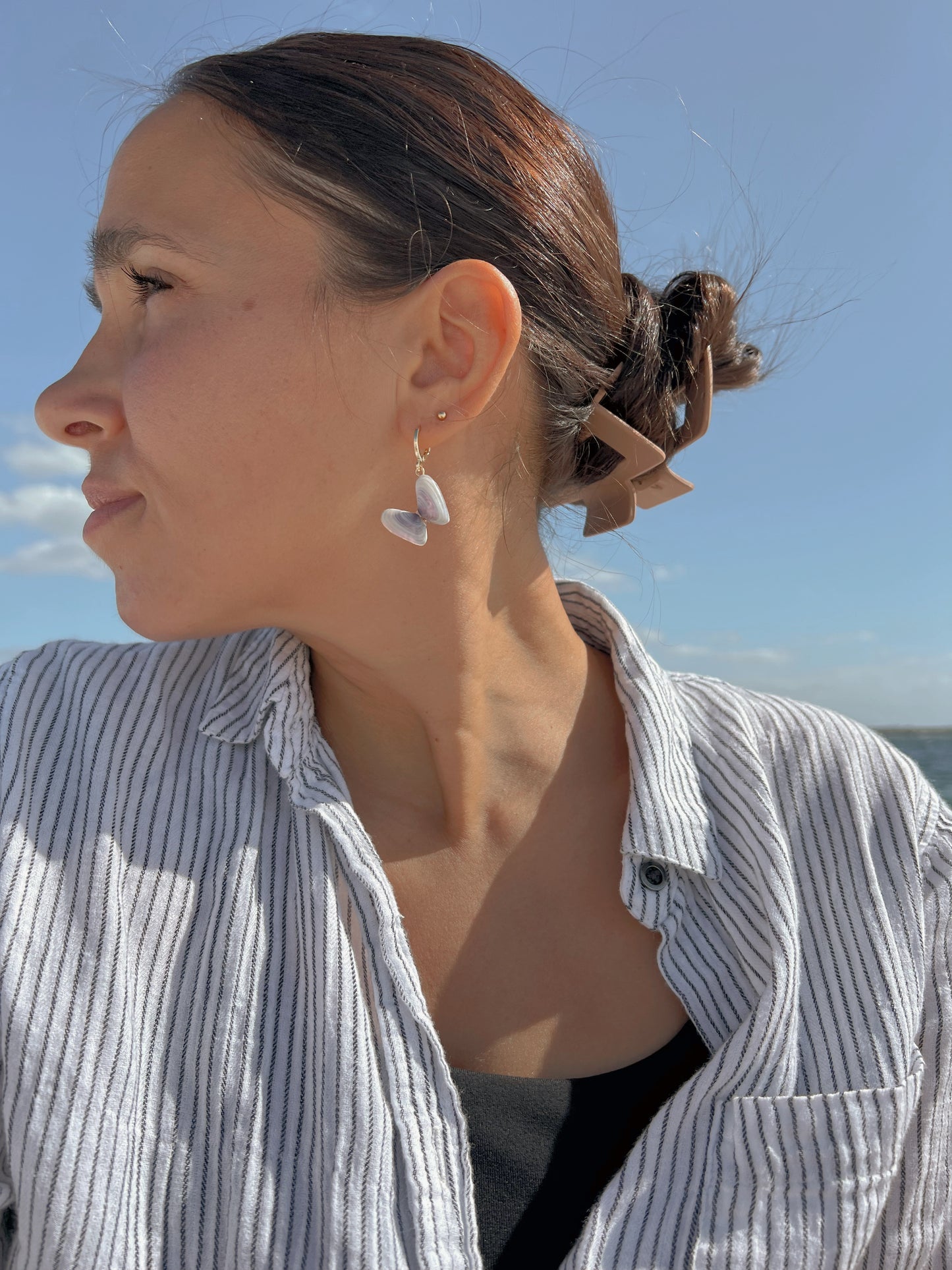 Coquina Shell Earrings