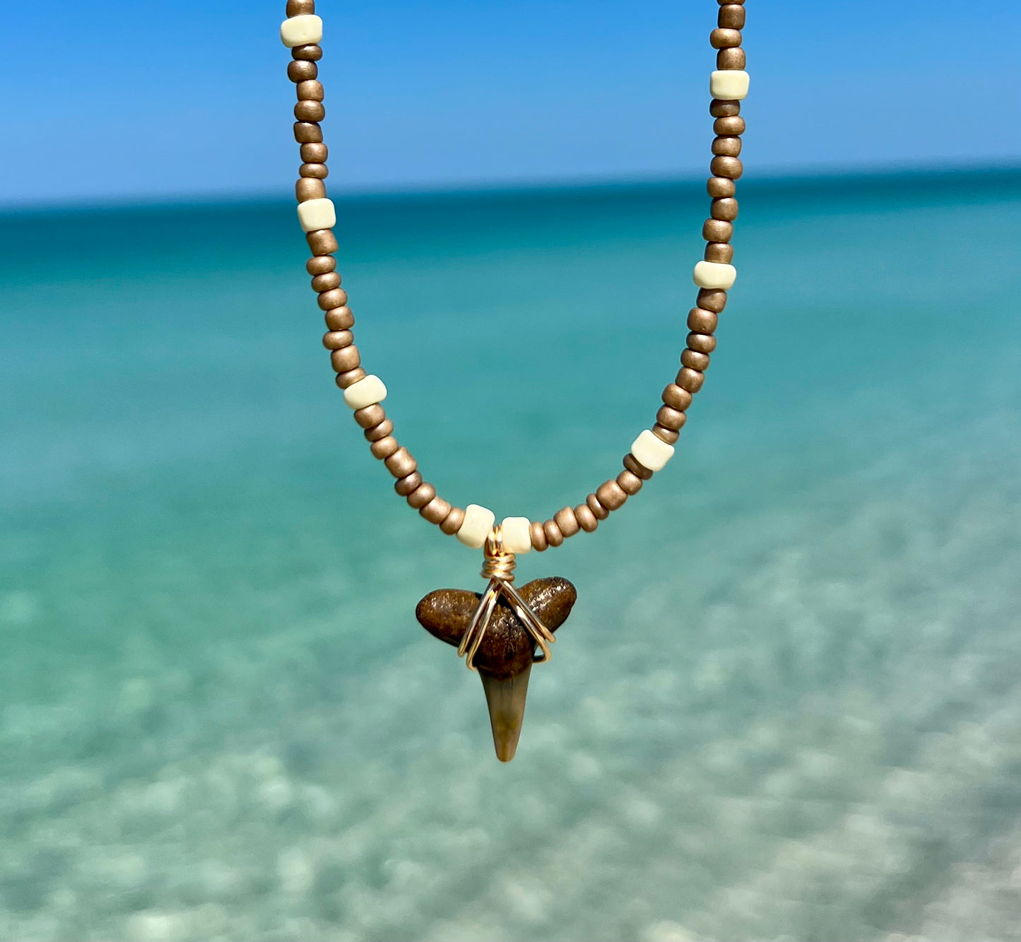 Shark tooth necklace