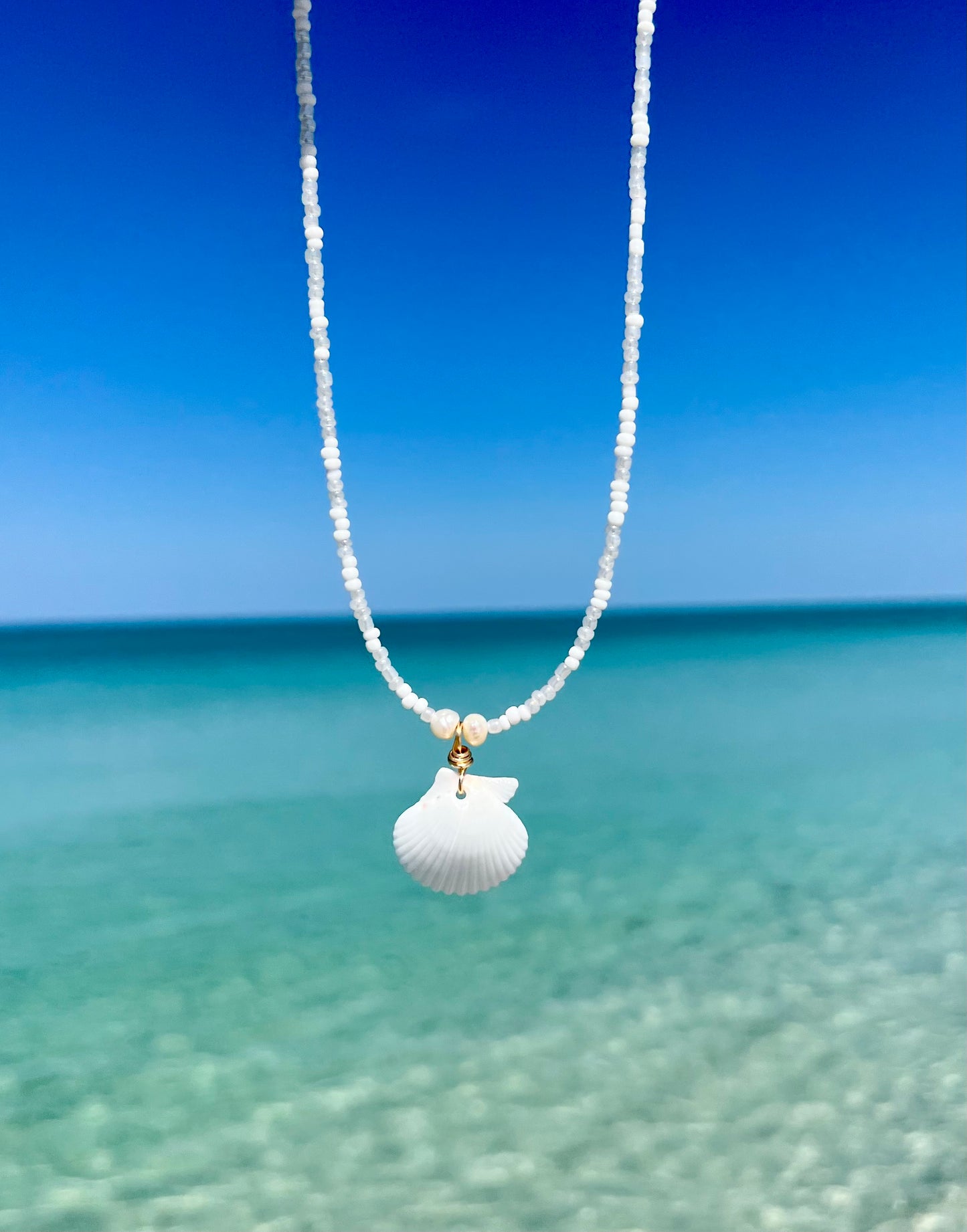 Small Scallop Shell Necklace