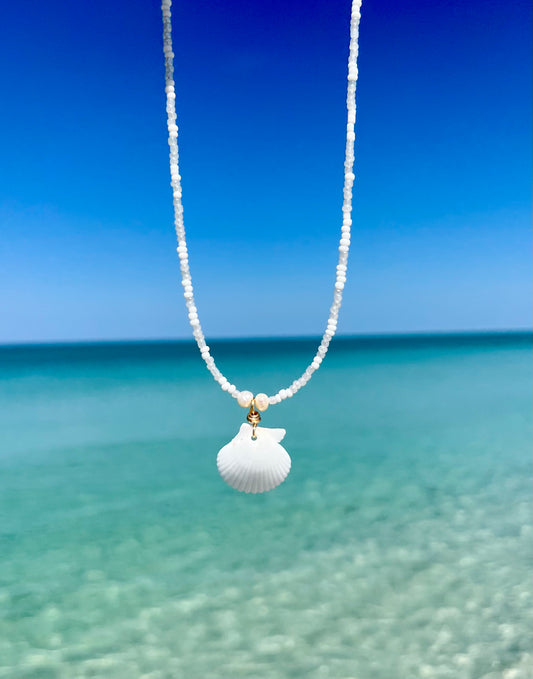 Small Scallop Shell Necklace