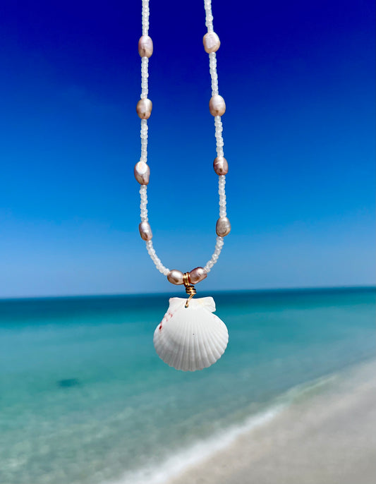 Scallop Shell Necklace