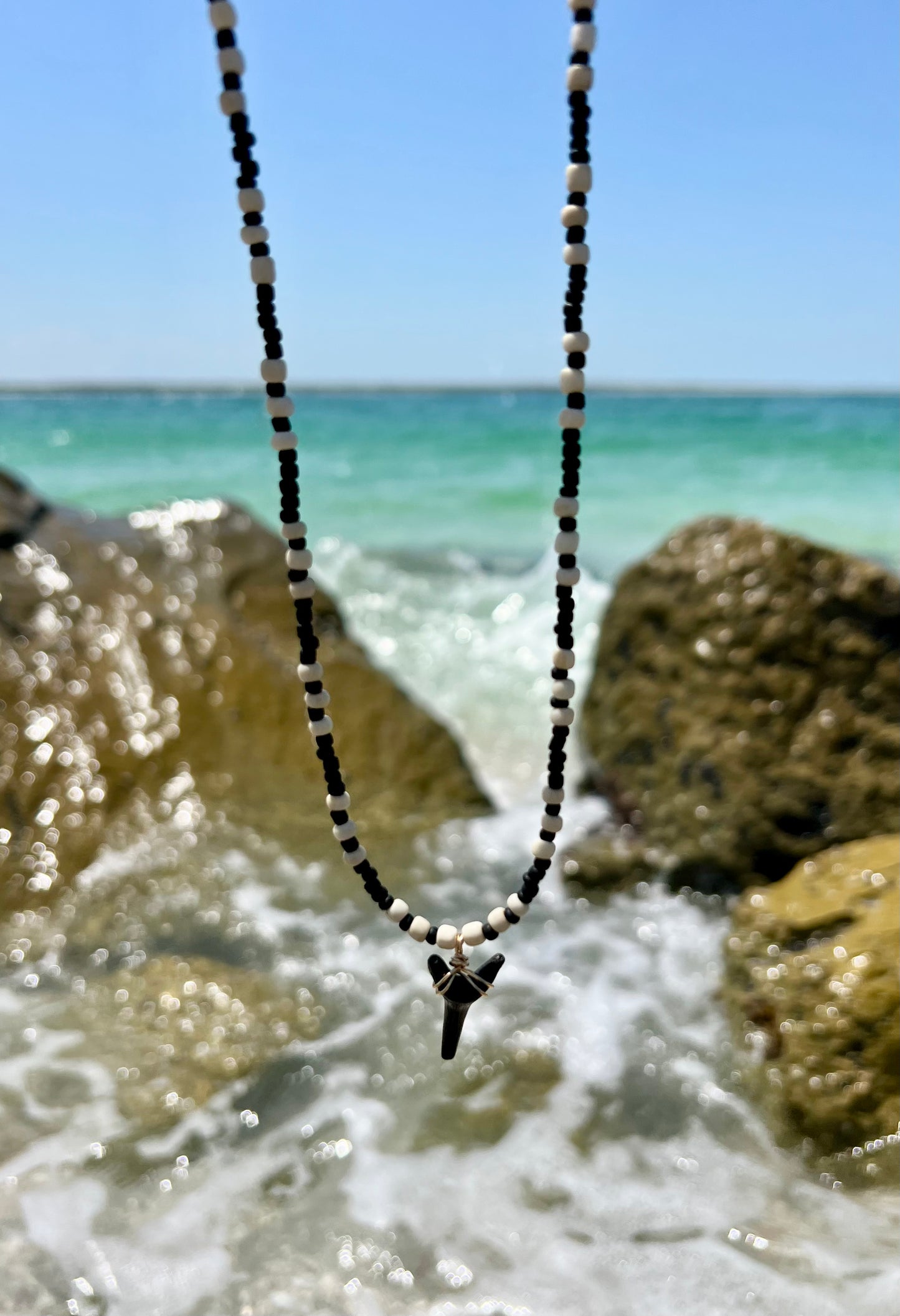 Long Shark tooth Necklace