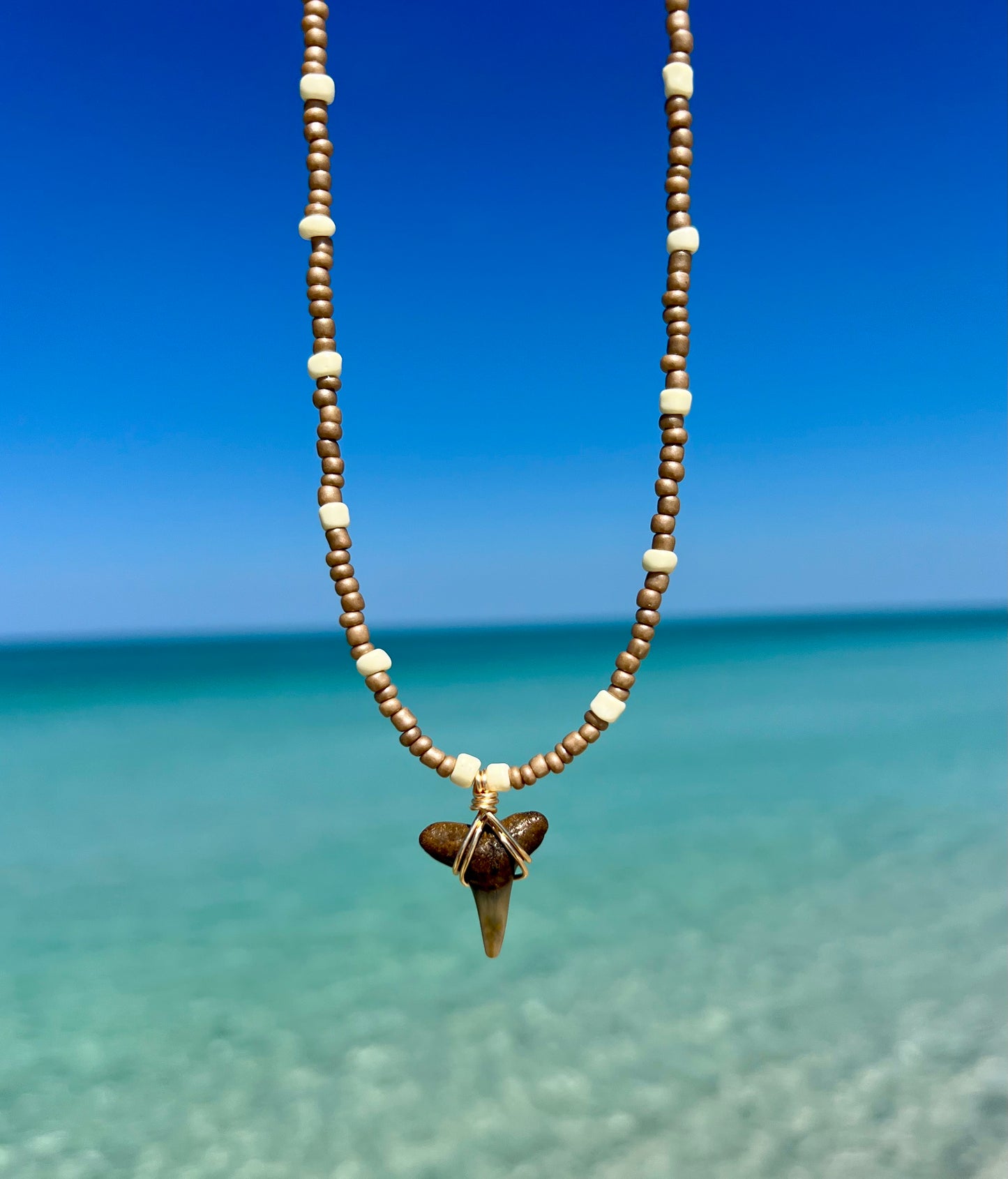 Shark tooth necklace