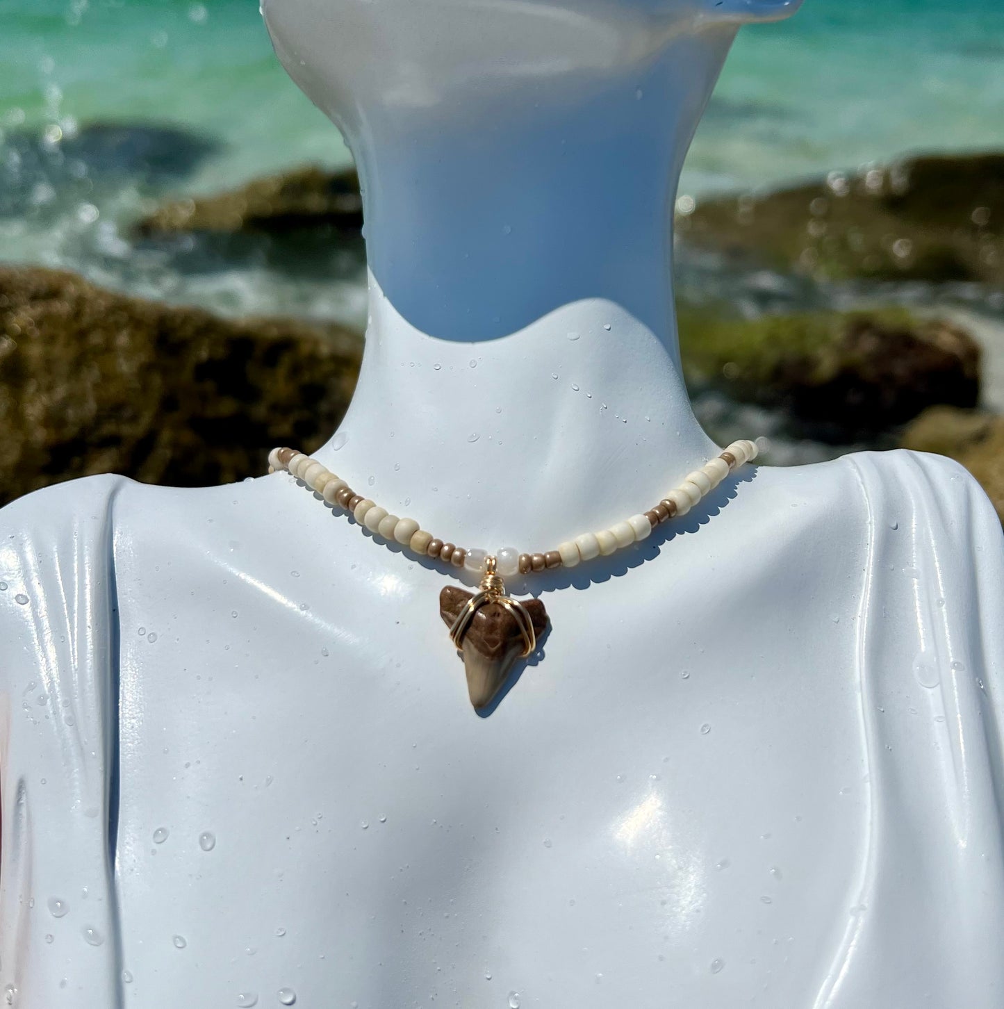 Shark tooth Necklace