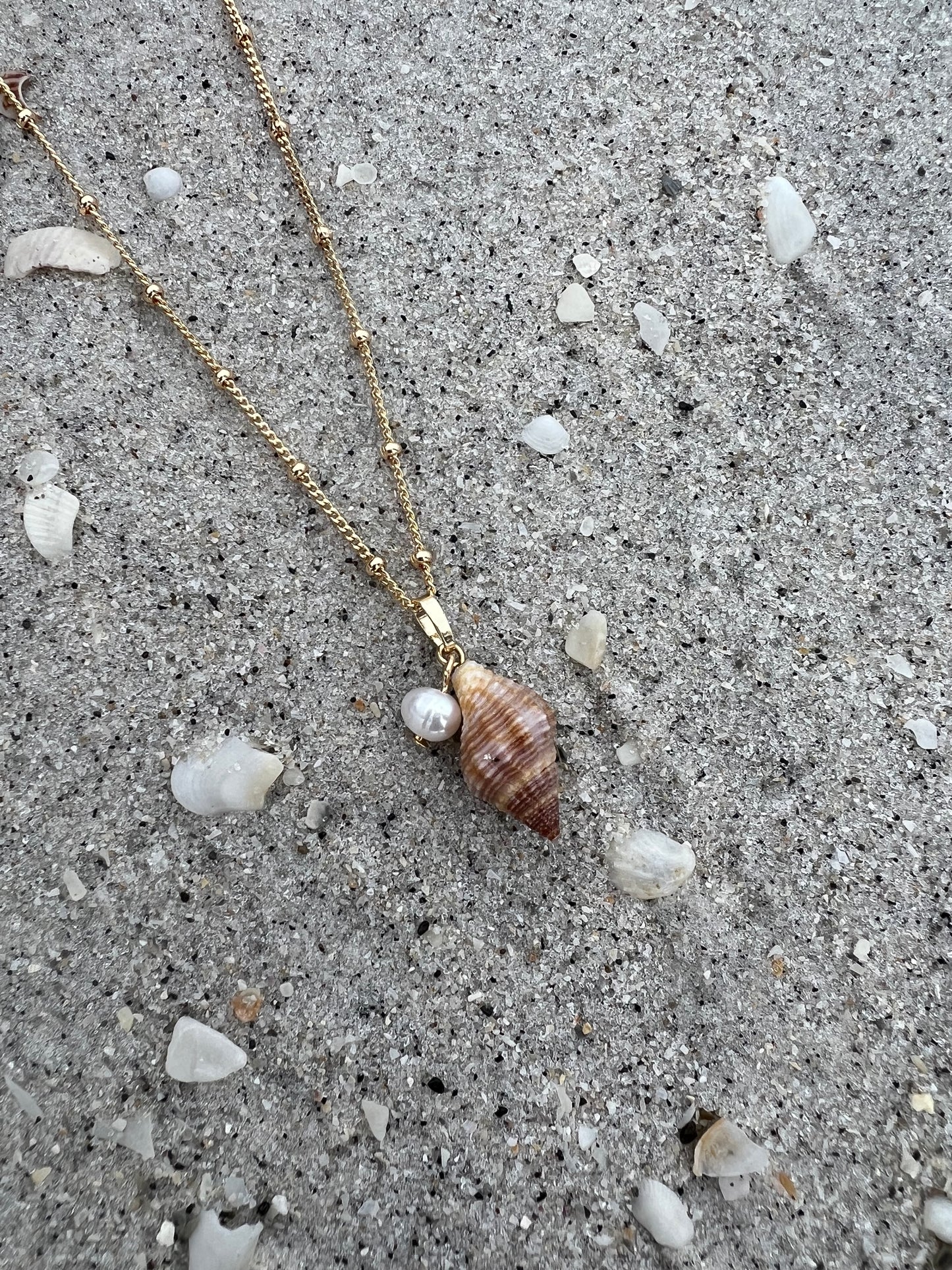 Shell with Pearl Necklace