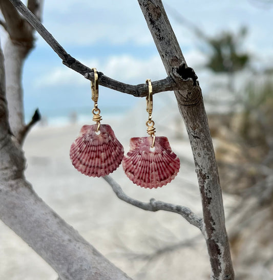 Scallop Shell Earrings