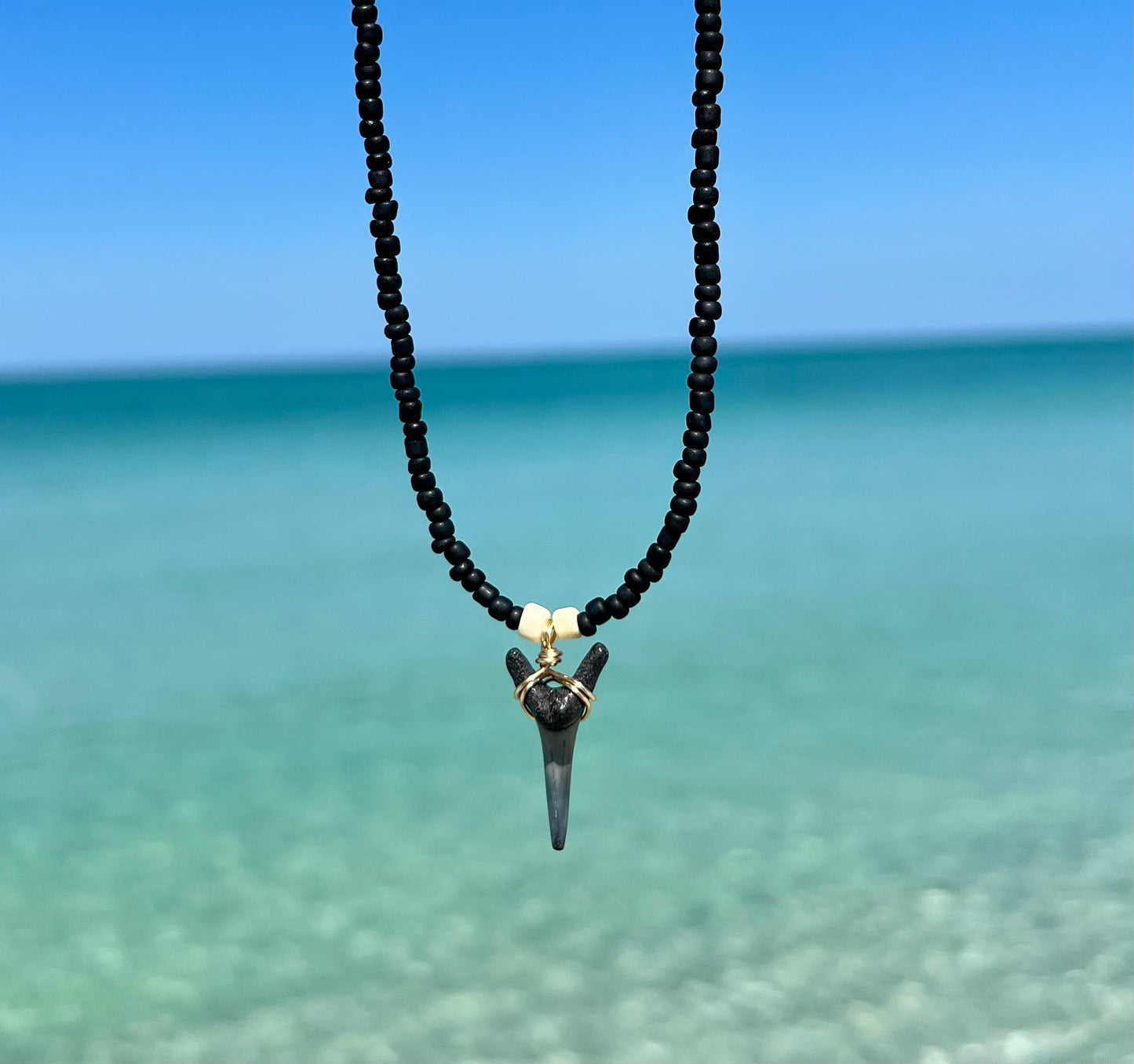 Shark tooth necklace