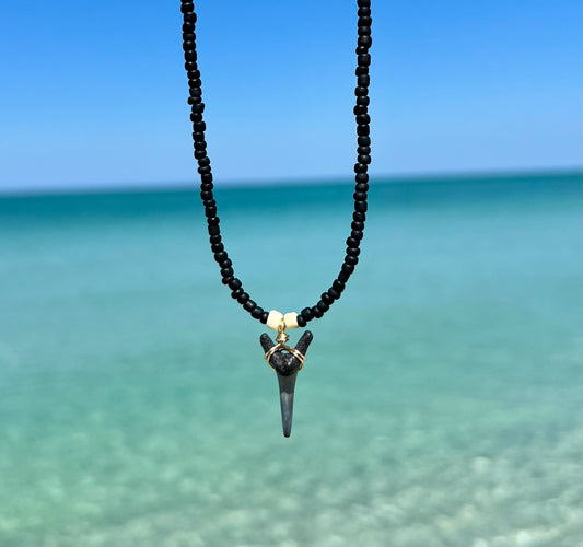 Shark tooth necklace