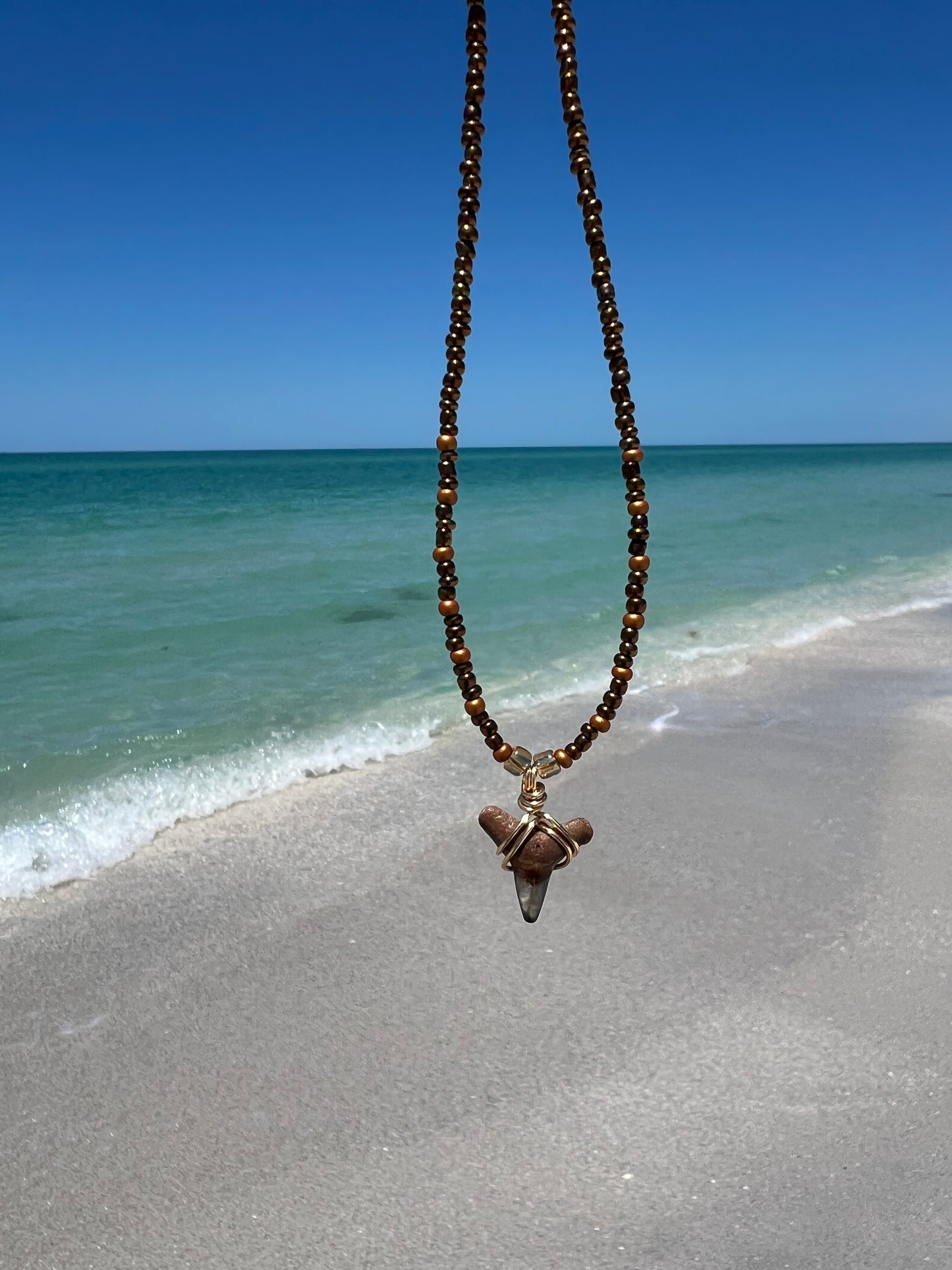 Shark tooth Necklace