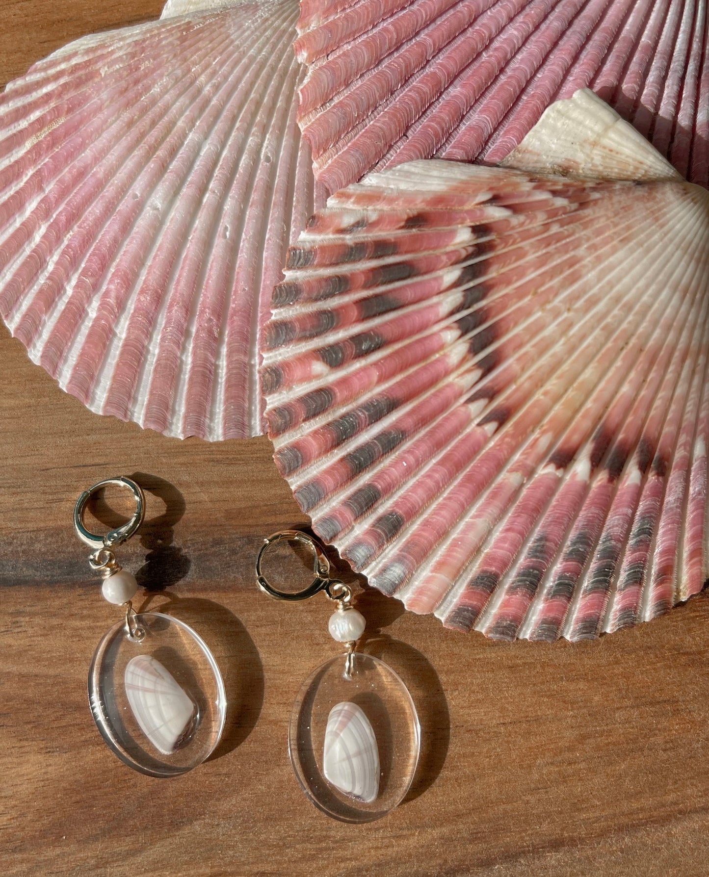 Coquina Shell Earrings