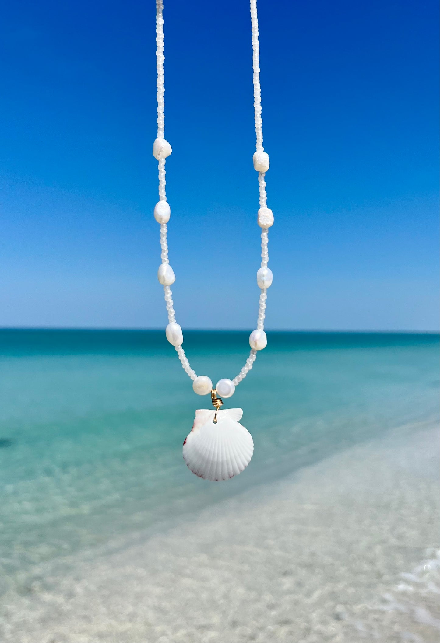 Scallop Shell Necklace