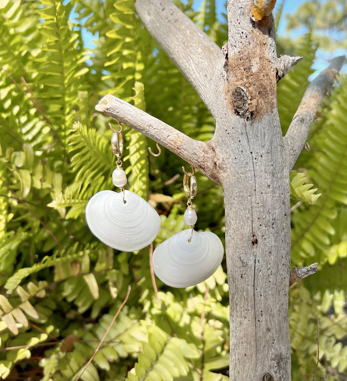 White Shell Earrings