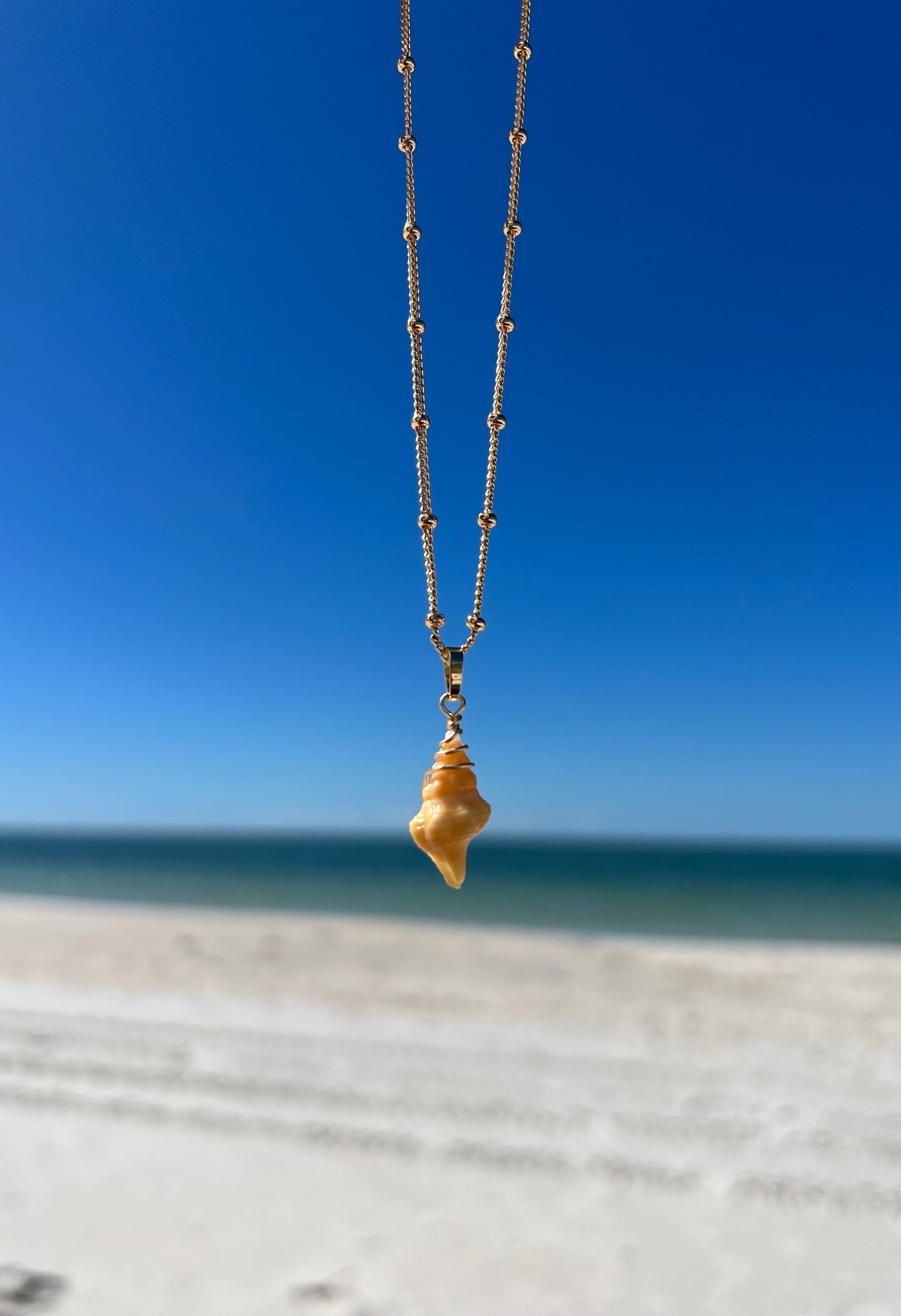 Horse Conch necklace