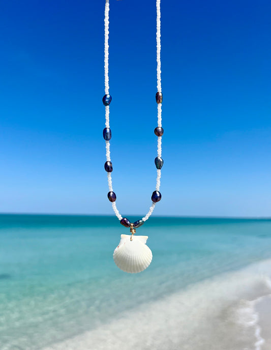 Scallop Shell Necklace