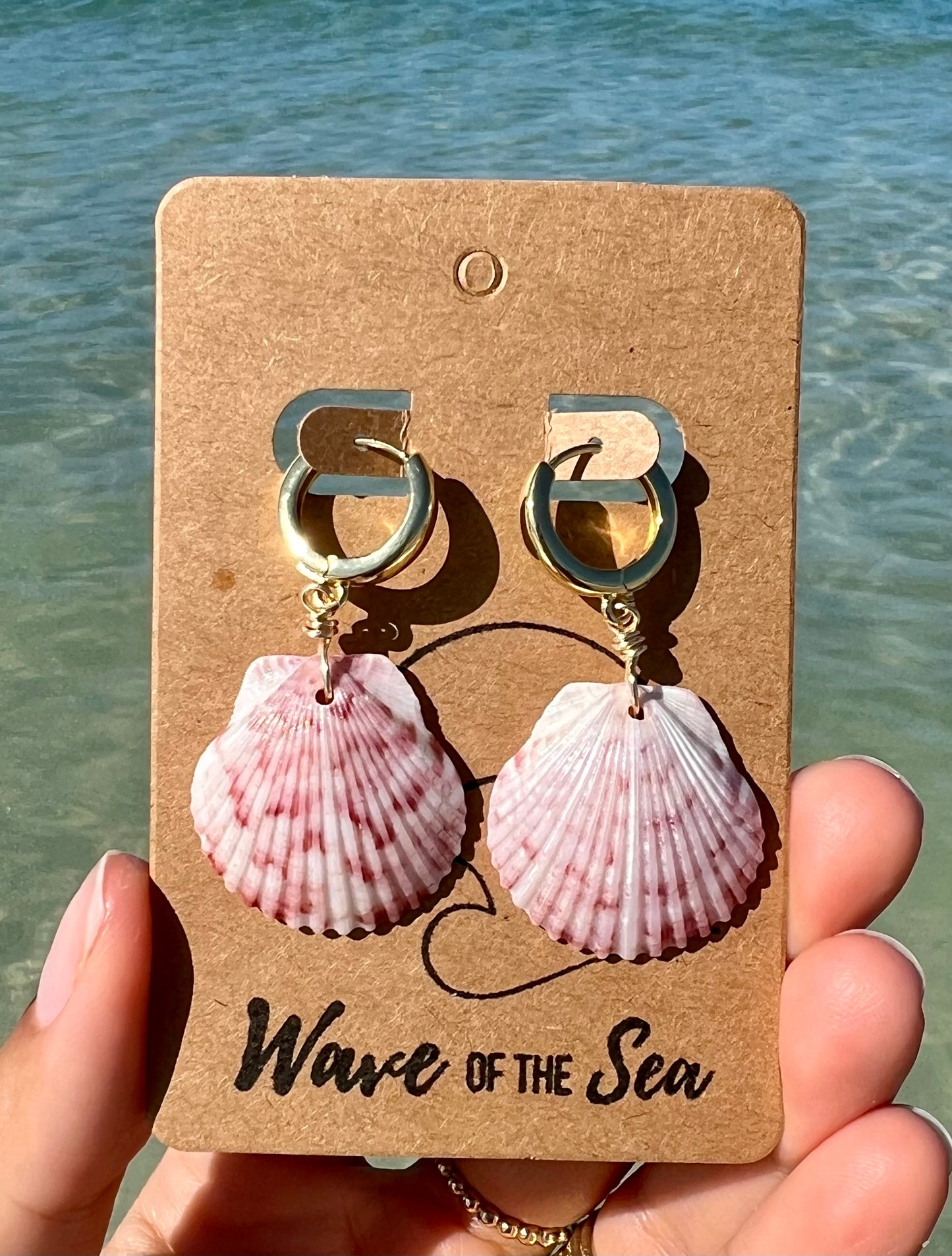 Florida Shell Earrings