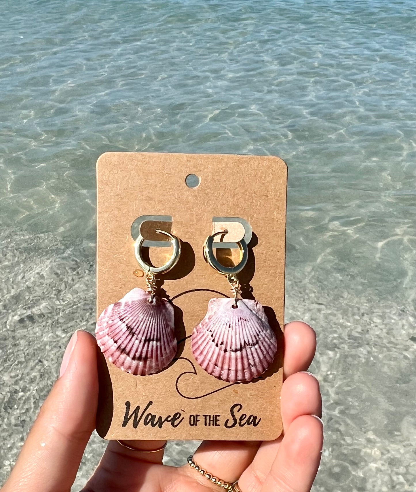 Florida Shell Earrings