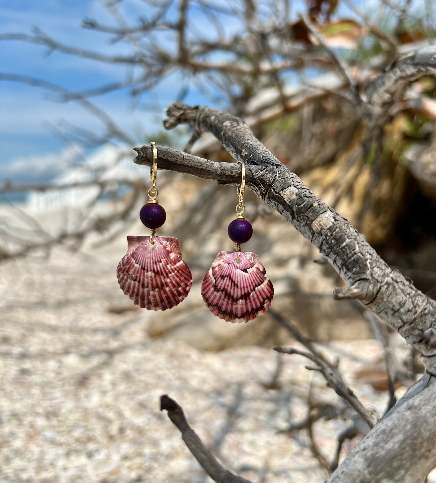 Scallop Shell Earrings