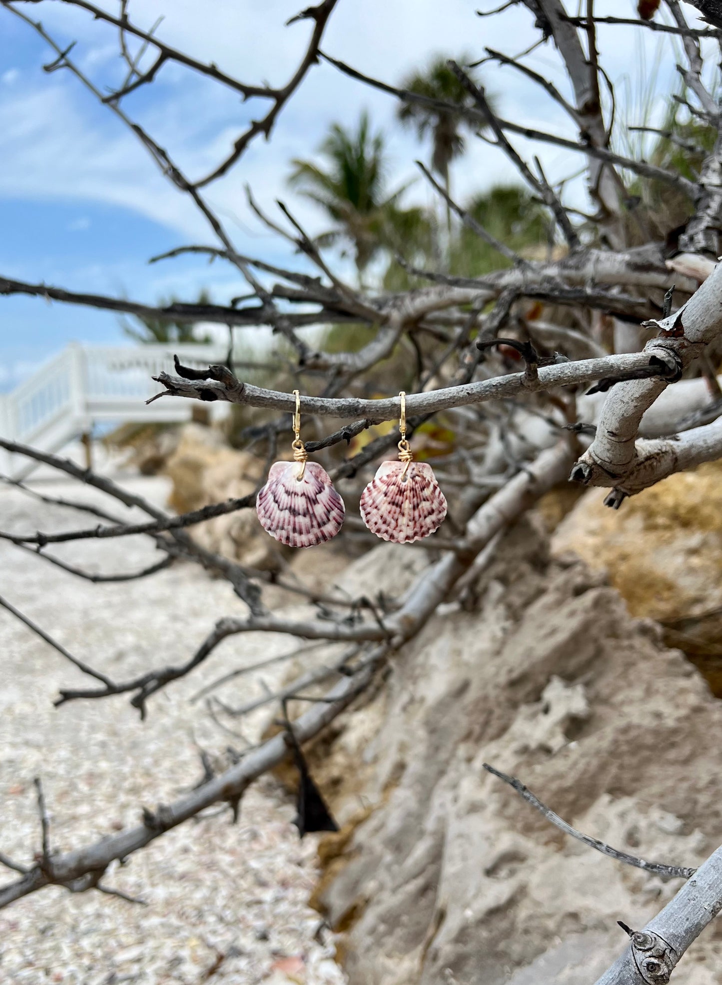 Scallop Shell Earrings