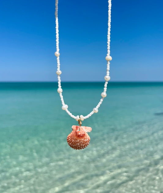 Scallop Shell Necklace