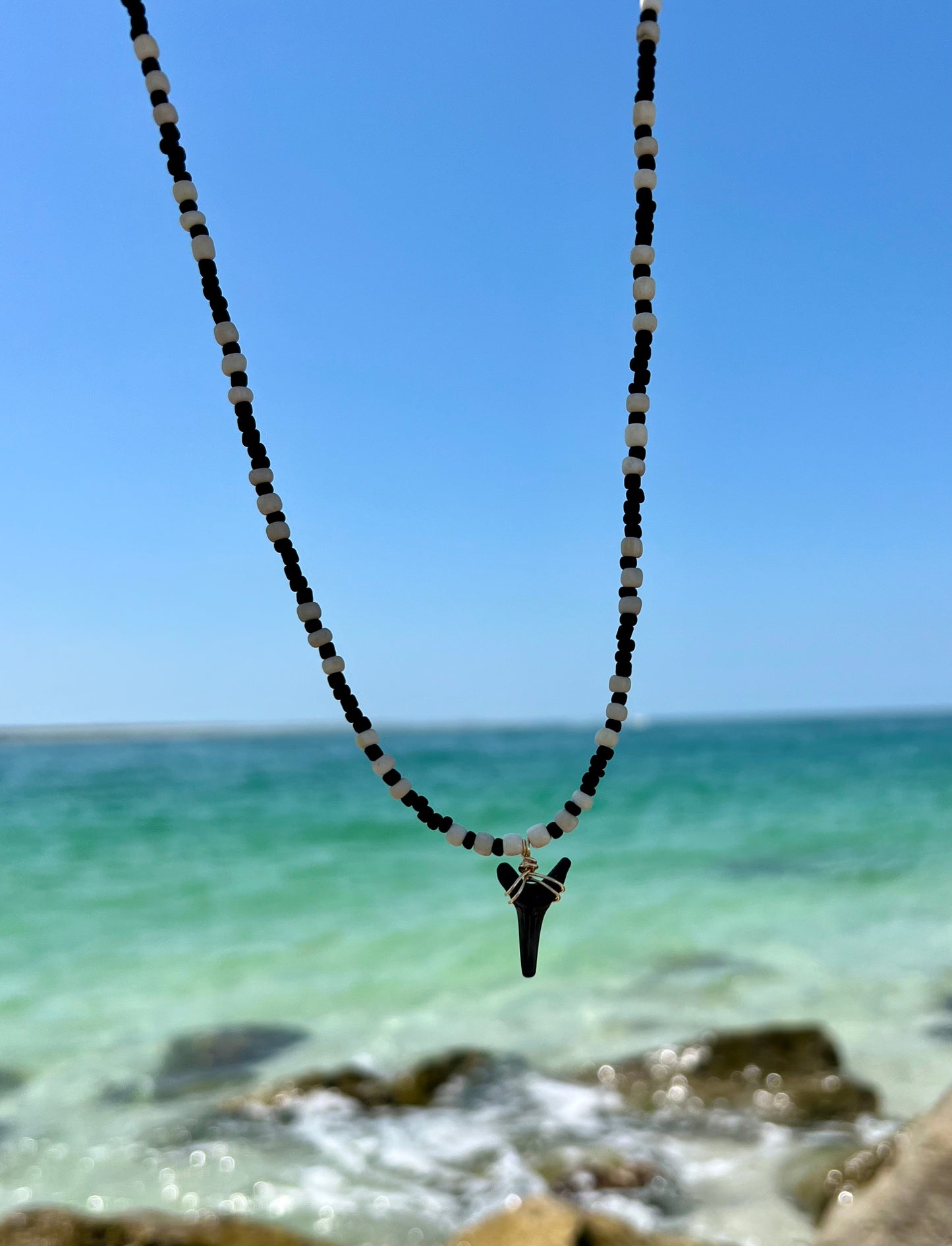 Long Shark tooth Necklace