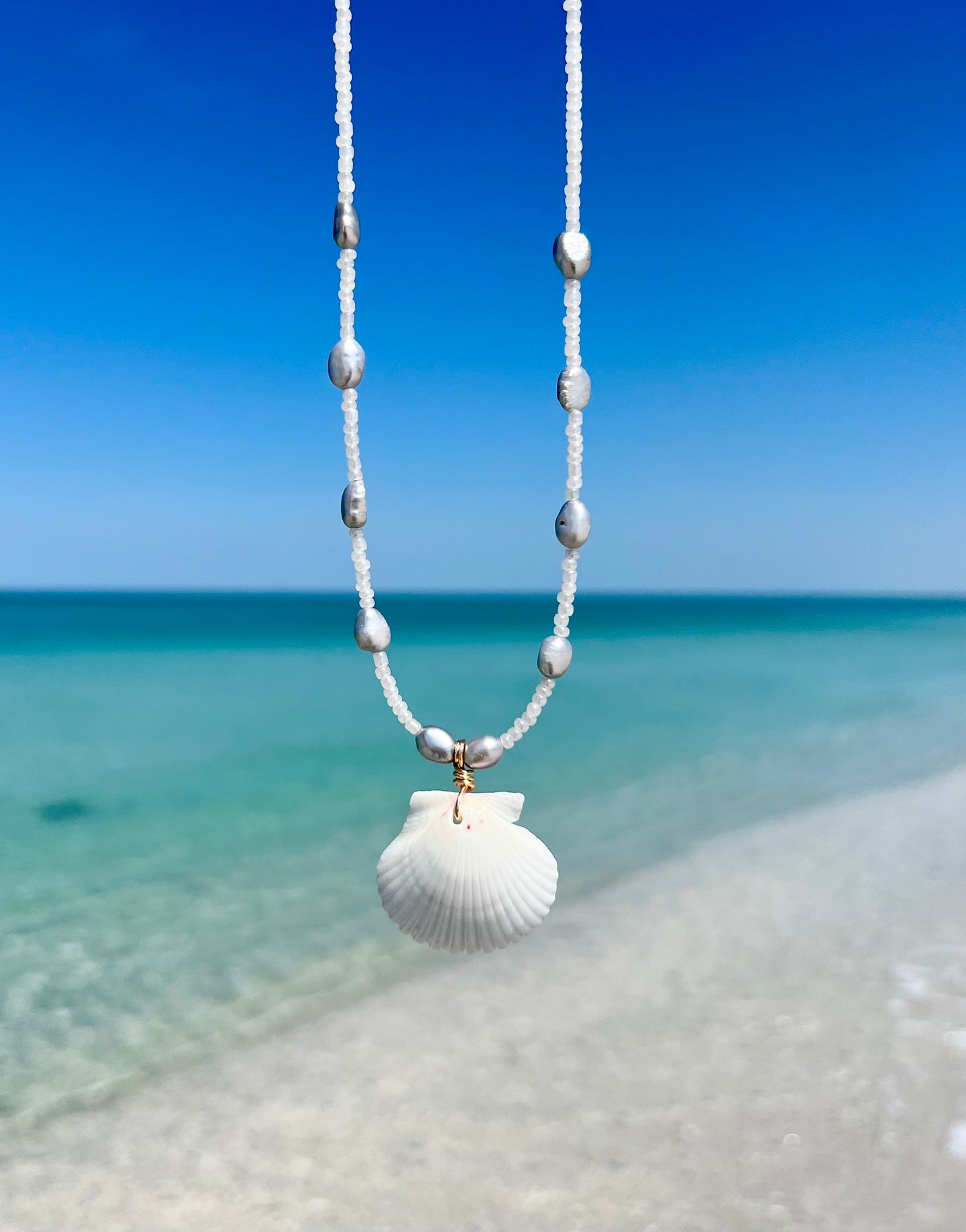 Scallop Shell Necklace