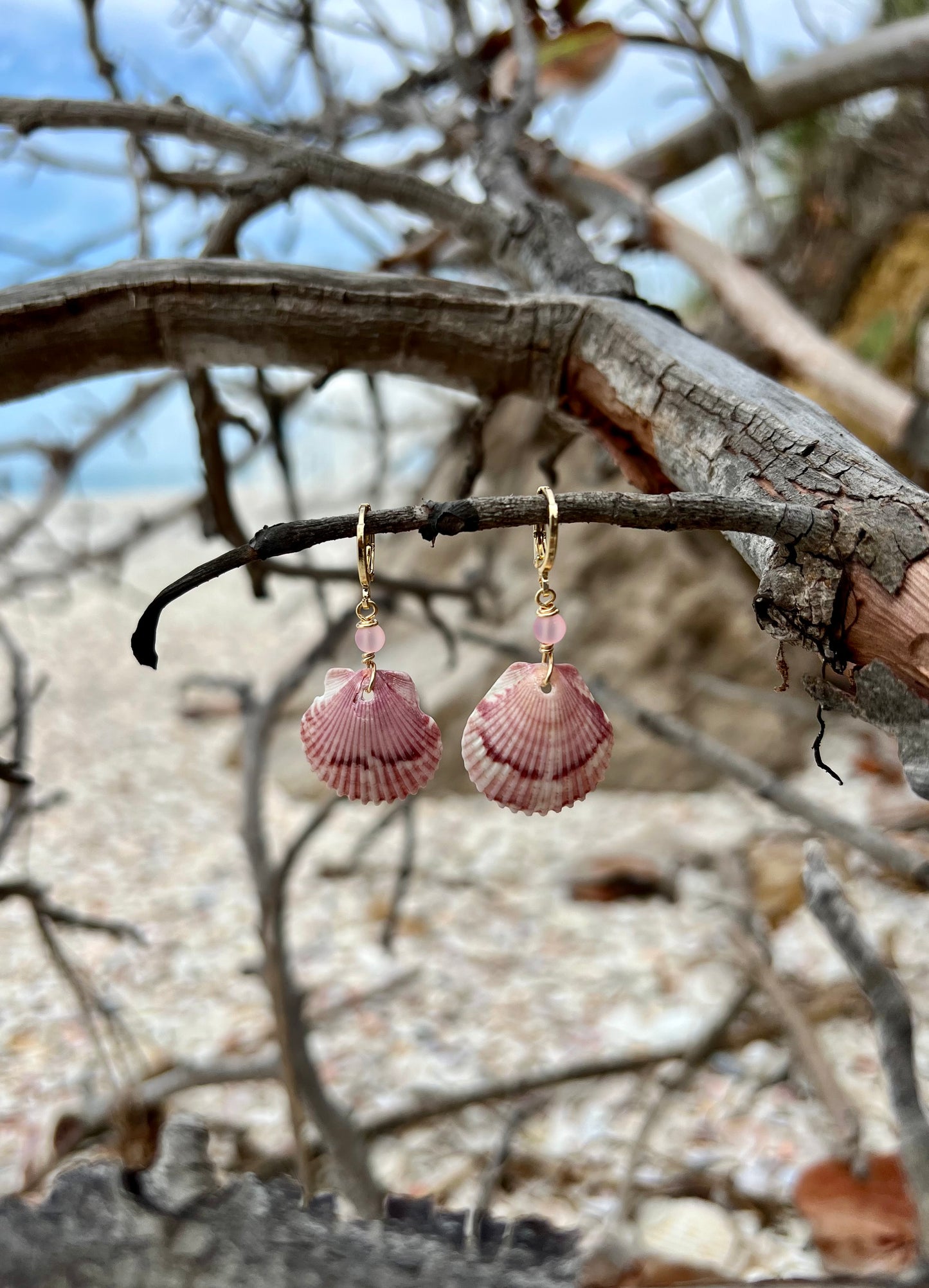 Scallop Shell Earrings