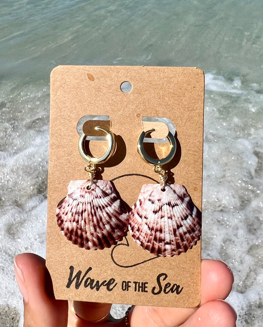 Florida Shell Earrings