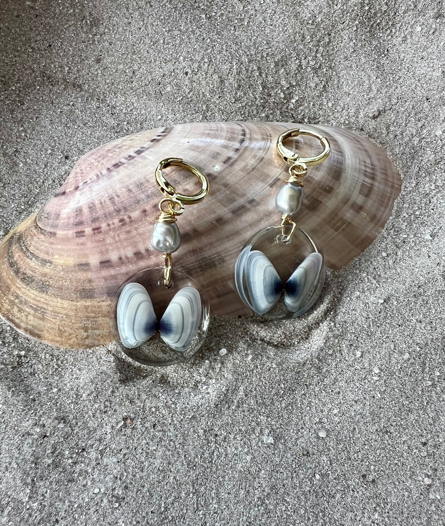 Butterfly Shell Earrings