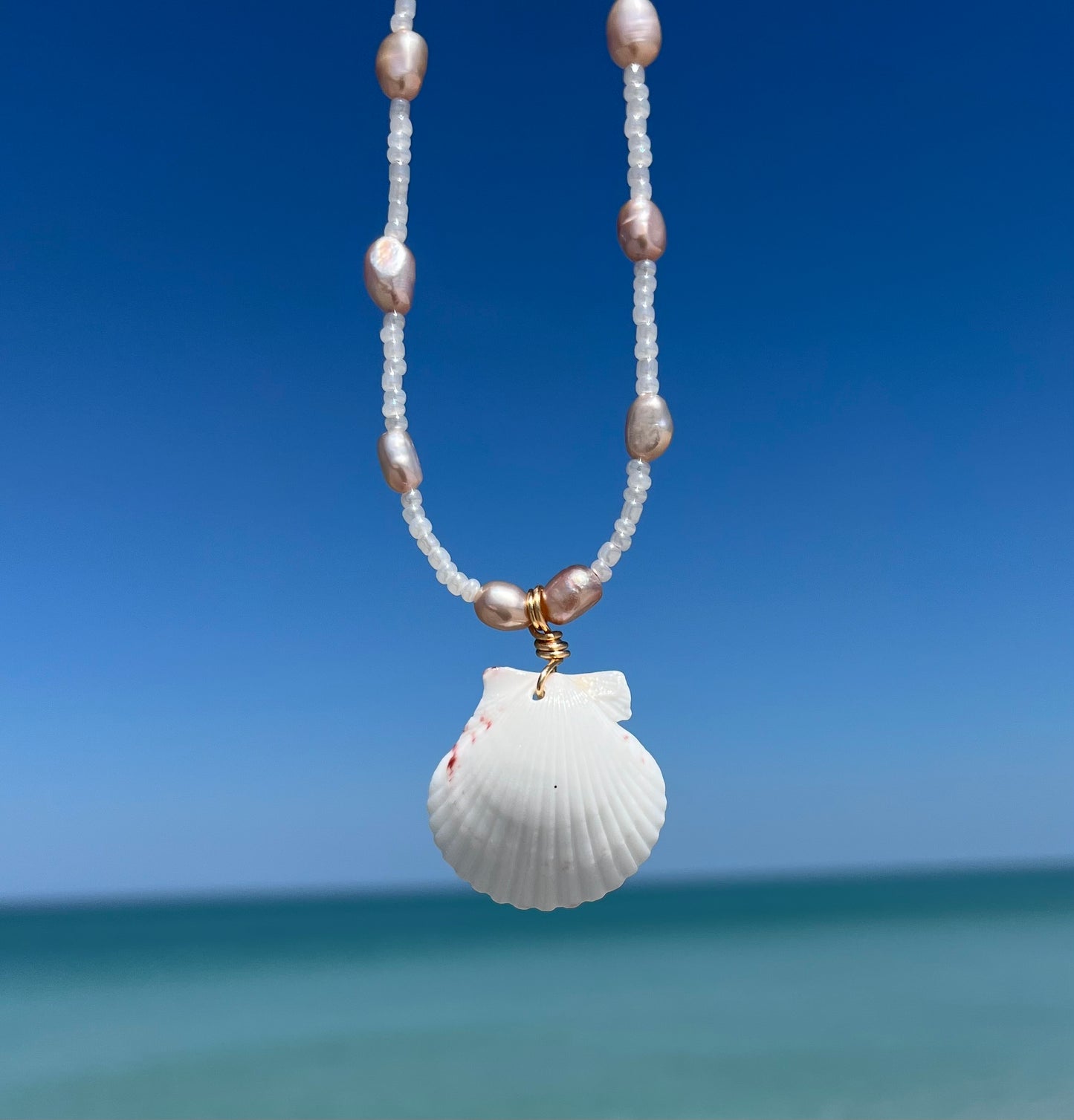 Scallop Shell Necklace