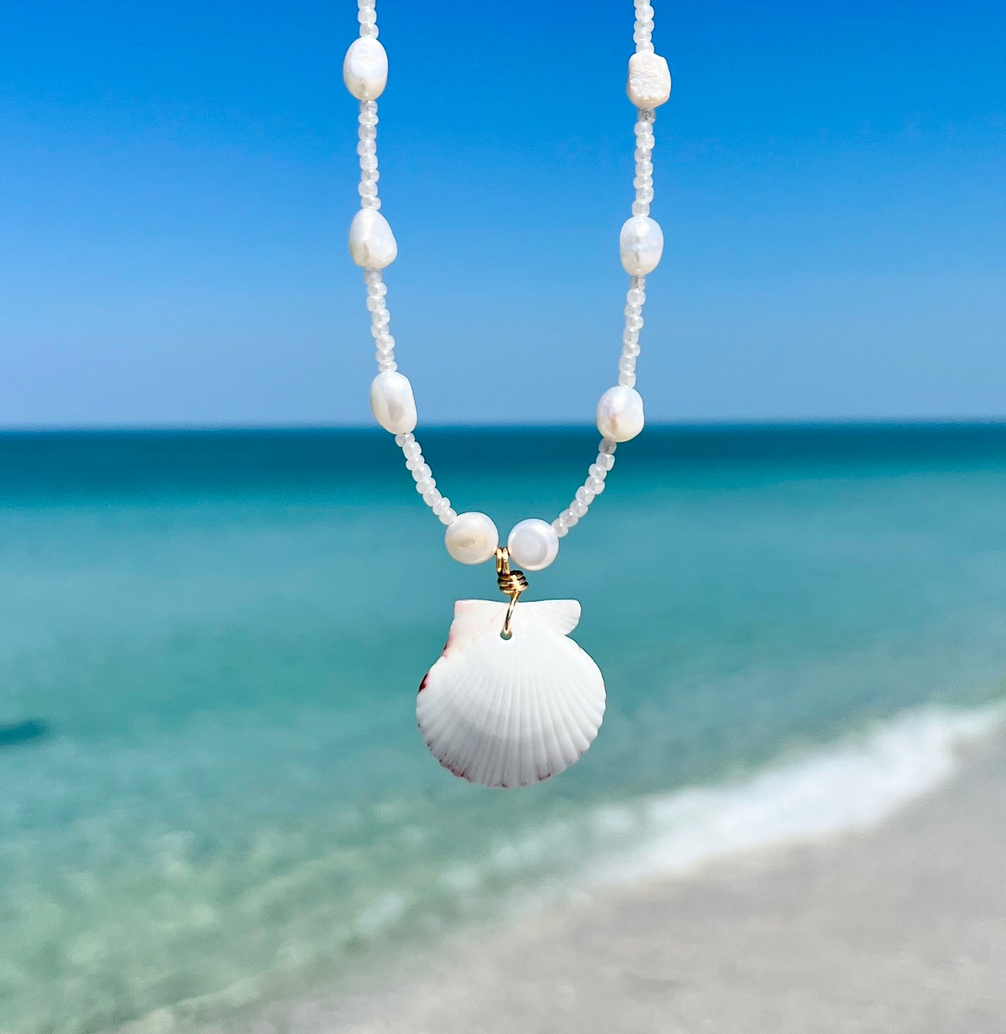 Scallop Shell Necklace