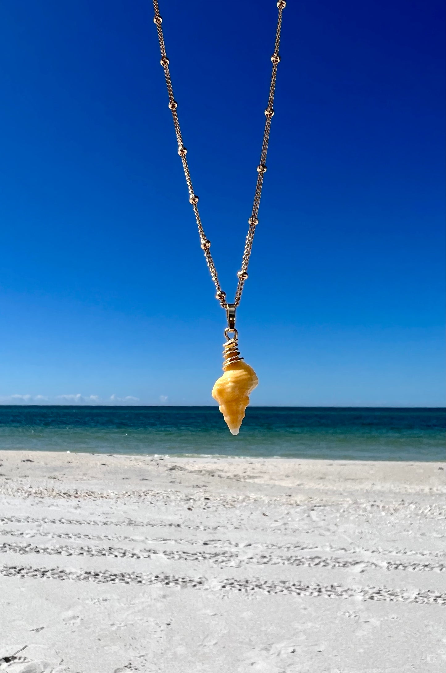 Horse Conch necklace