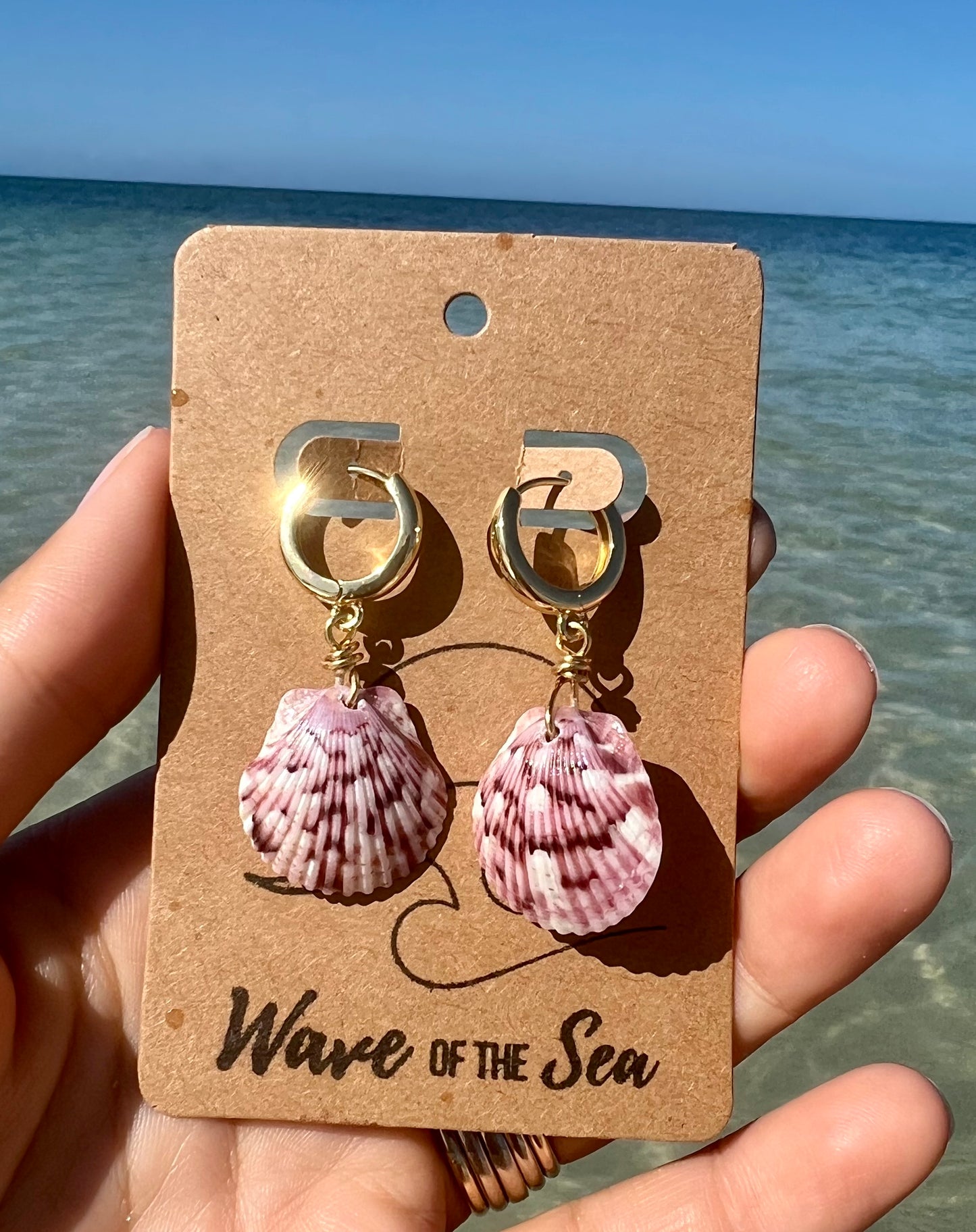 Florida Shell Earrings