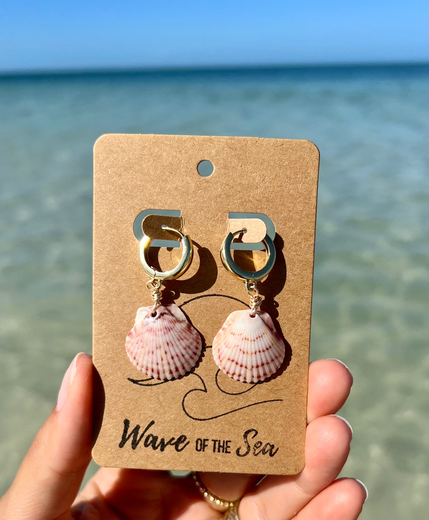 Florida Shell Earrings