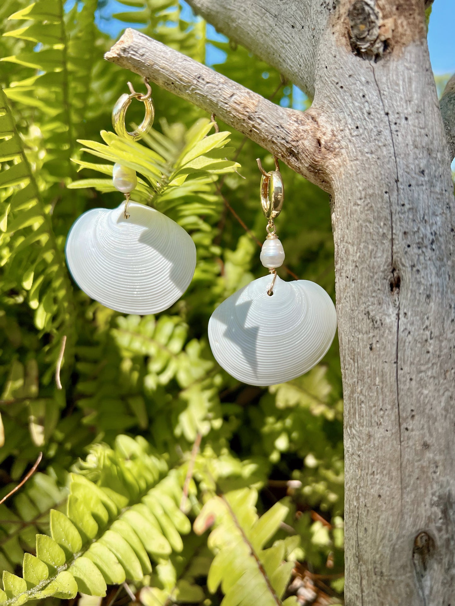 White Shell Earrings