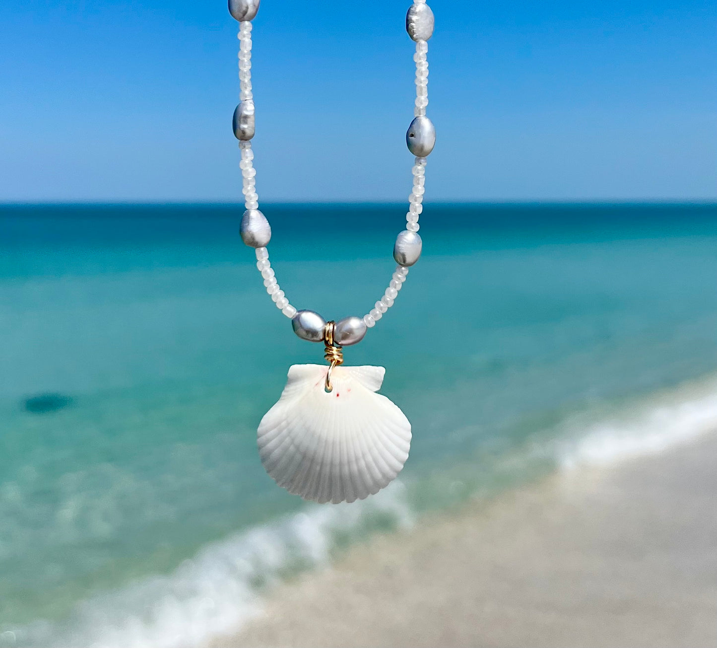 Scallop Shell Necklace