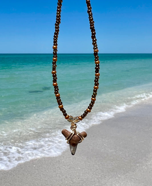 Shark tooth Necklace