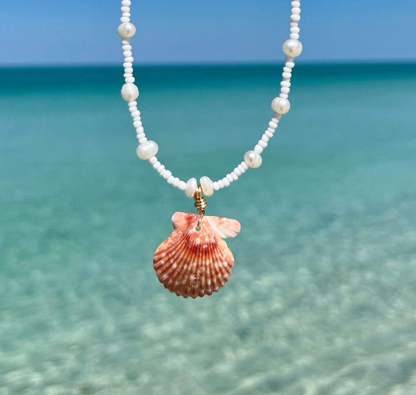 Scallop Shell Necklace