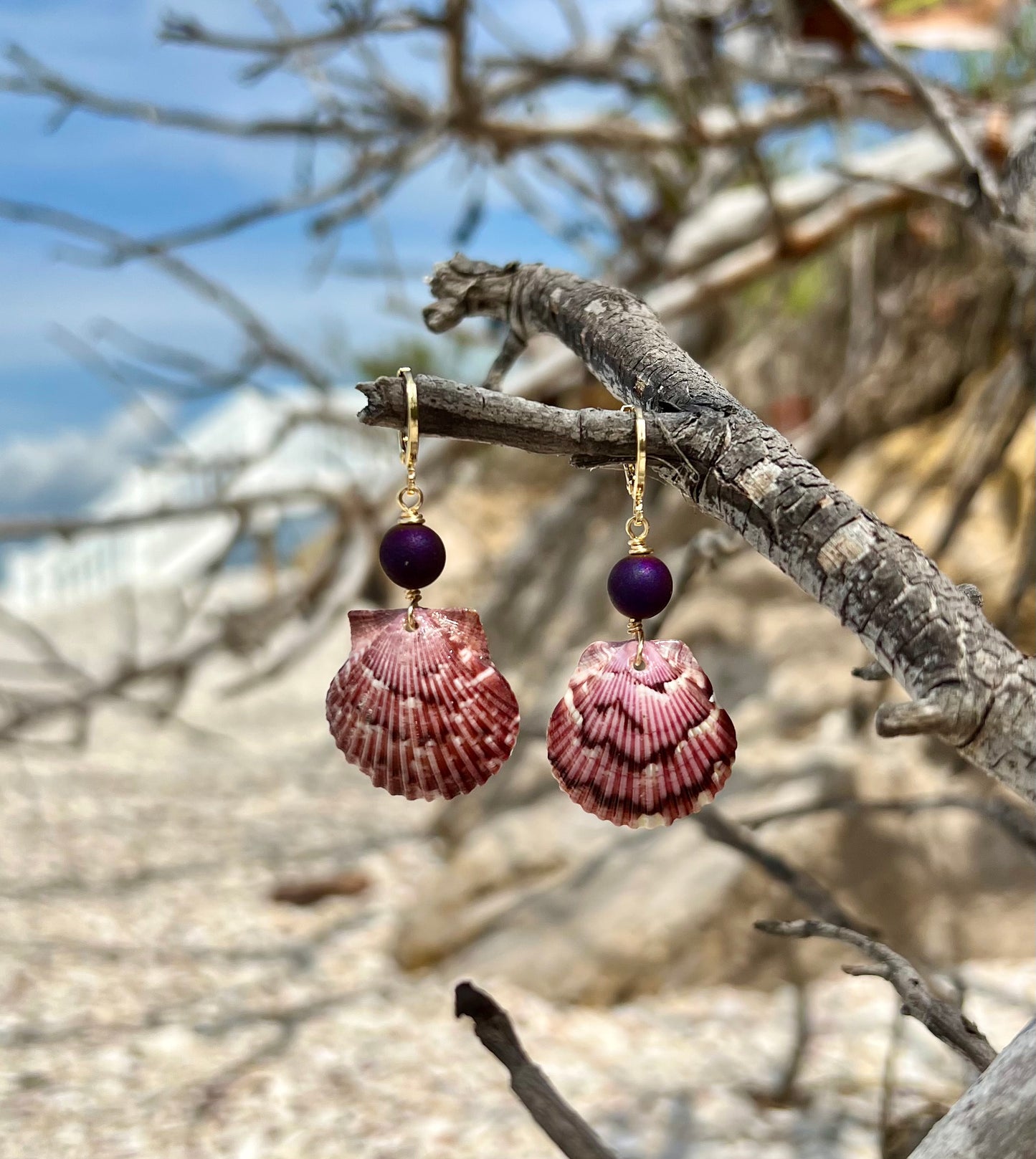 Scallop Shell Earrings