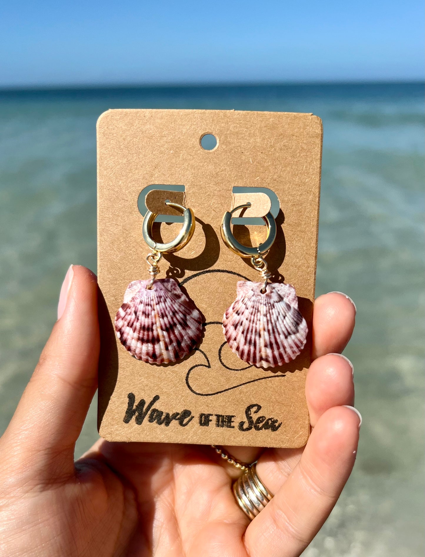 Florida Shell Earrings