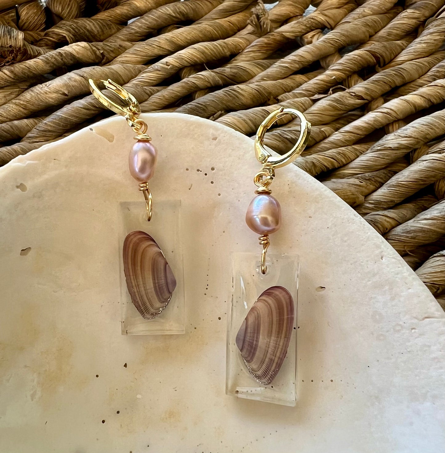 Coquina Shell Earrings