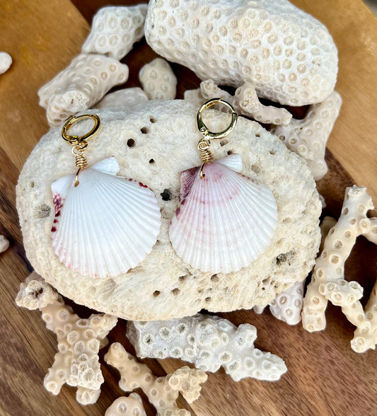 Scallop Shell Earrings