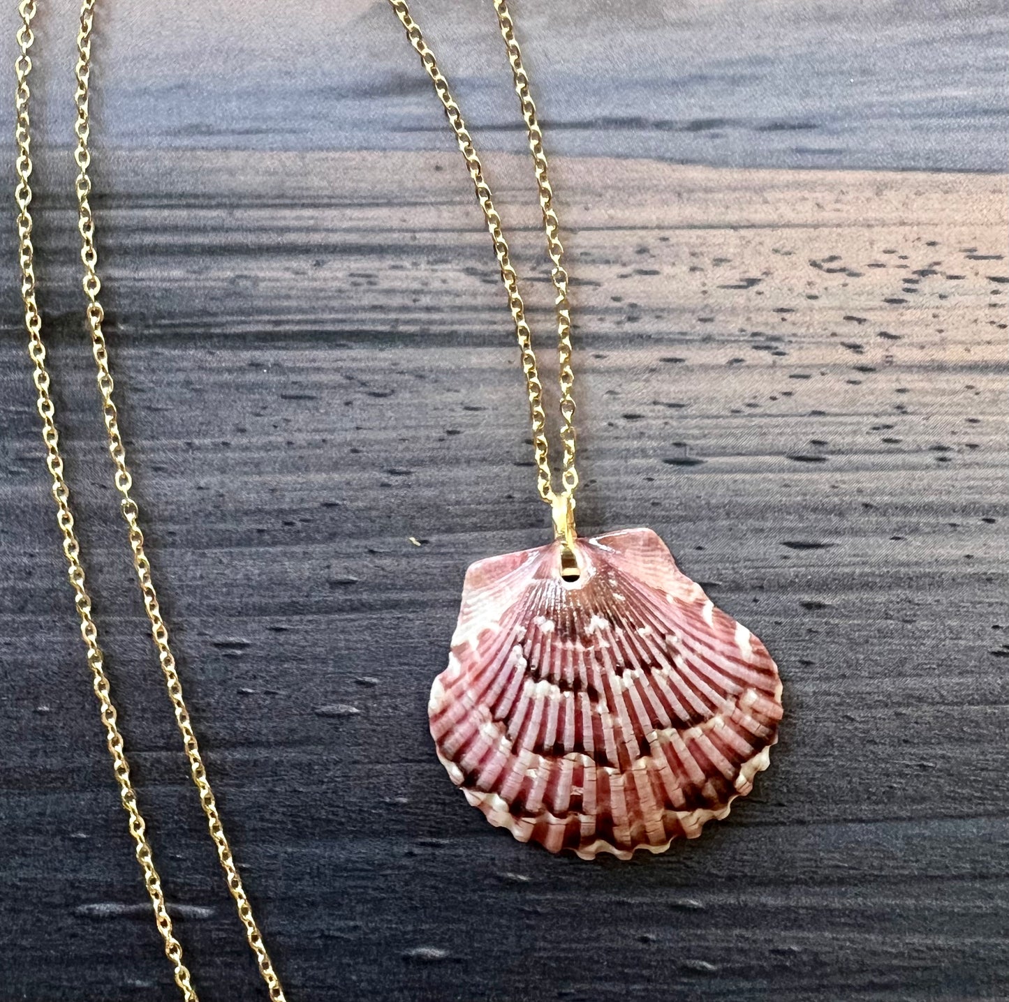 Shell Necklace on Gold Chain