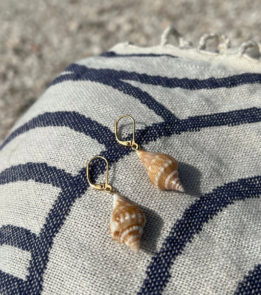 Fighting Conch Earrings