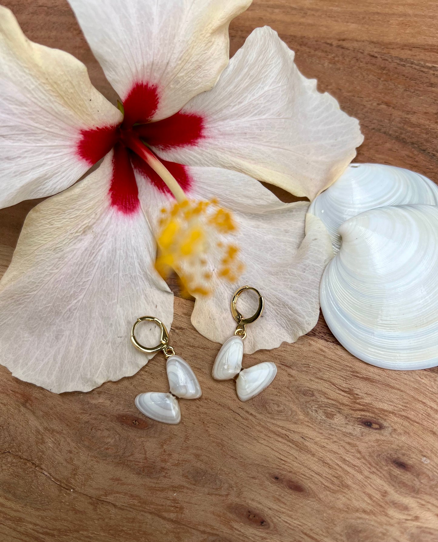 Coquina Shell Earrings